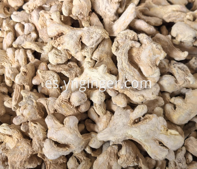 Dried Ginger Chunks 15